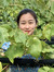 Carol Fang