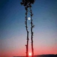 عبيدالله الأزهري