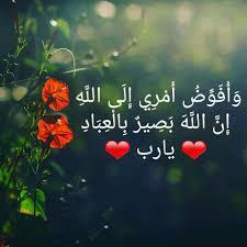 Alaa Mamdouh