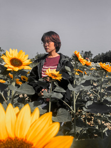 Nguyet Trinh