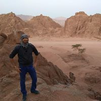 Amr Hussein