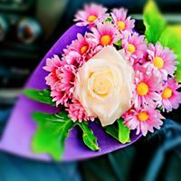 أسماء المهدى