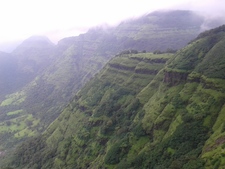 Vikas Rasal