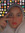 Laila (lailaaamhussain)