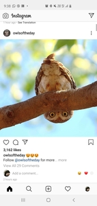 Fa H