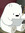Nicolett | 1 comments