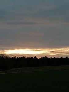 Anka