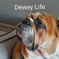 Michelle Chwialkowski