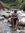 Vinod R...
