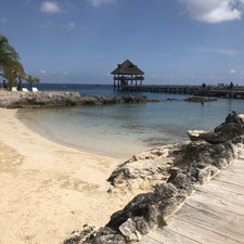 Kelly Oliphant-wright