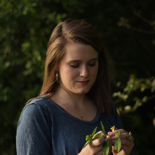 Taylor Schaff