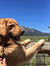 Zoey