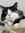 CatMom