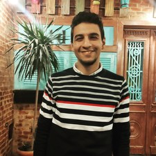 Botros Safwat