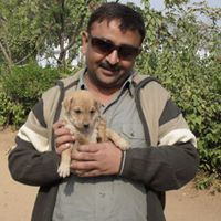 Vimal Shah