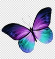 imlittlebutterfly