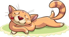 Cat on the Mat