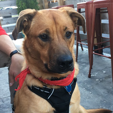 Sam