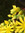 member photo member photo