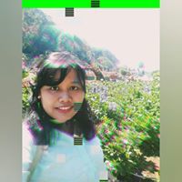 Via Hermina