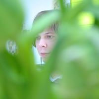 Дилевский Андрей