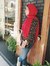 Heba Asker