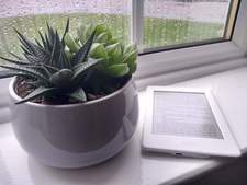 Romance Reader 2020 🍉