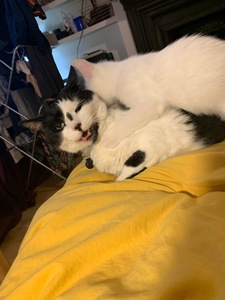 Harry Bearcroft-Young