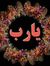 أحمد فياض