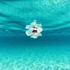 نُوراليَقِين بُونَشَّادَة