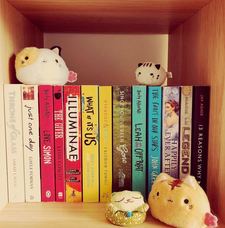 infinite_sea_of_books