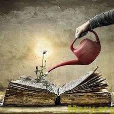 قنوان السعادة