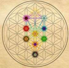 Joshua "The Ghost of the Library" Miller