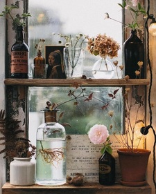 The Shelf