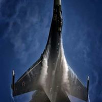 محمد المنشاوي