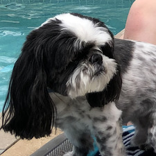 Kathy L'Esperance Sparrow