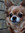 Lori | 3 comments