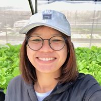 ดิน เหนียว