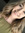 Samantha Boothe
