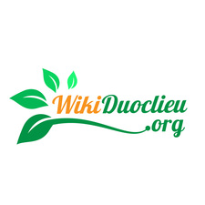 Wiki Duoc
