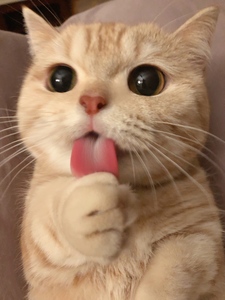 watchyourtone 语气