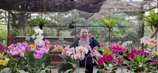 Devi Amalia