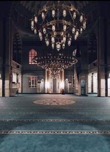 زَينب مُحمّد