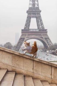 Kitty