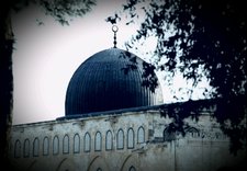 فاطمة العمودي