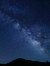 lyrae