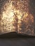 Books That Burn