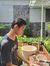 Faris R...