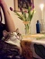 Peppi