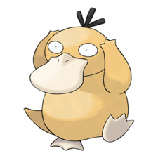 piggypsykoduck